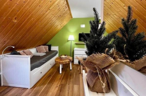 Apartmán Michaela - Horní náměstí